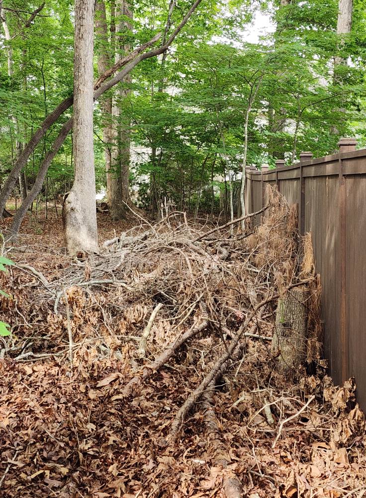 506489979_122160577040487992_3973195166971596991_n