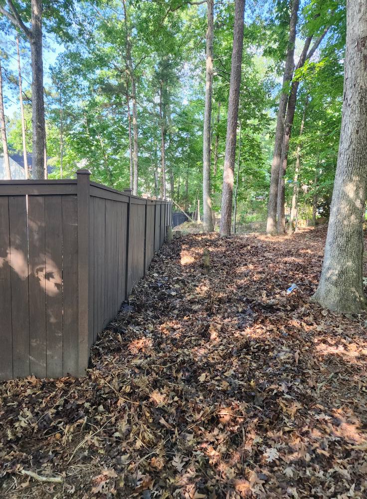 506909006_122160577082487992_907503726207810914_n