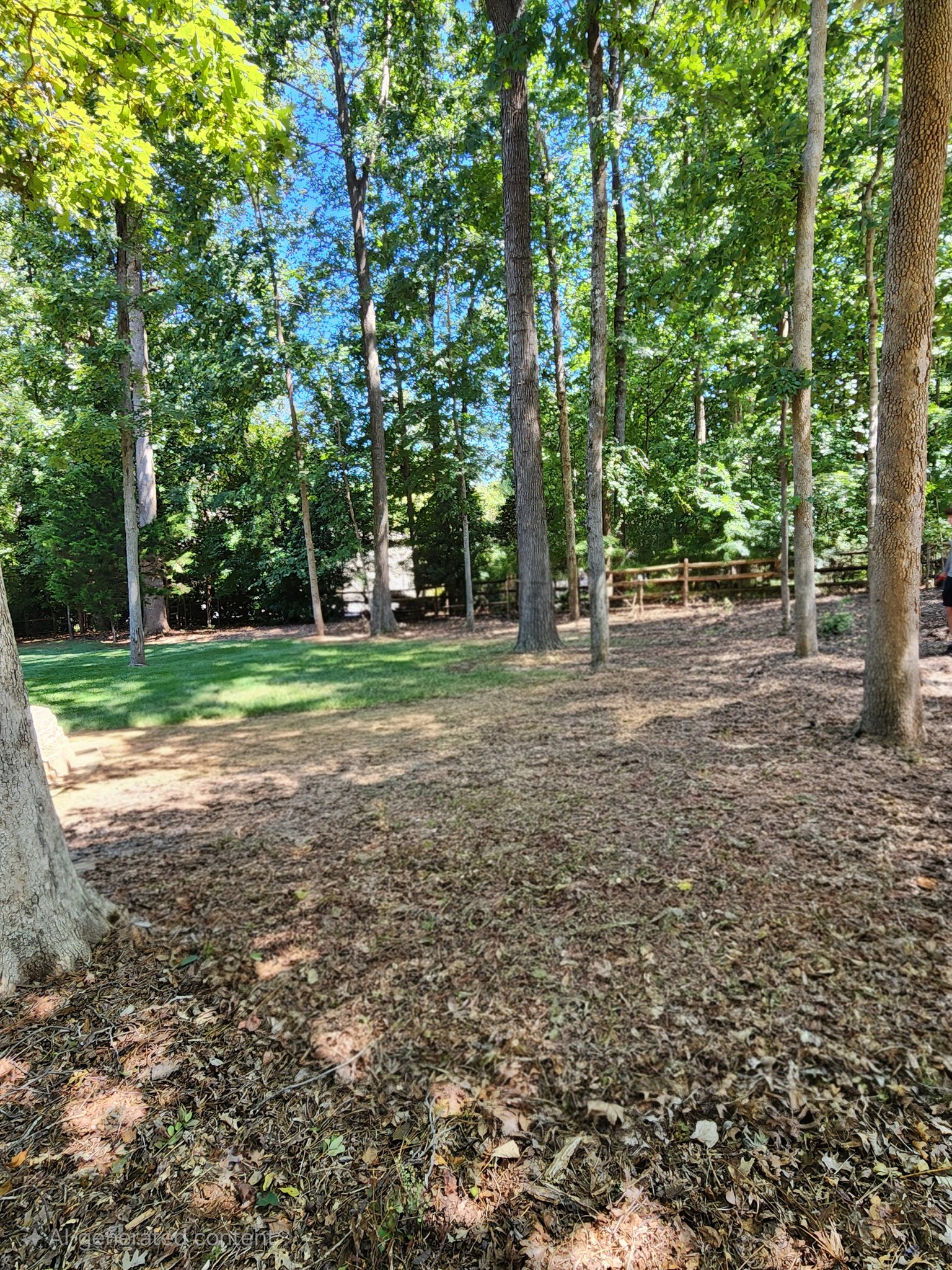 540545394_122172324776487992_6566030490509226085_n