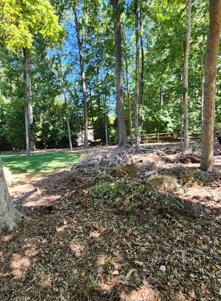 540973808_122172324452487992_6764162223886770317_n